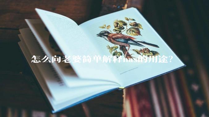 怎么向老婆简单解释nas的用途？